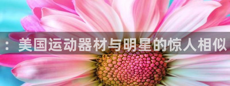 意昂平台体育::美国运动器材与明星的惊人相似