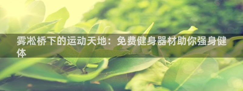 意昂体育3平台假的吗是真的吗:雾凇桥下的运动天地:免费健身器
