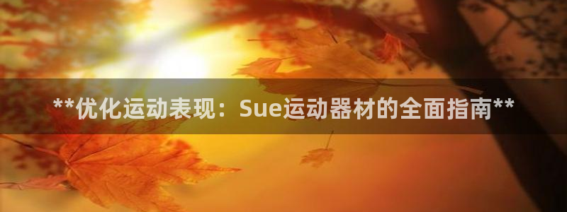 意昂3官网:**优化运动表现:Sue运动器材的全面指南**