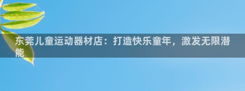 意昂体育3软件:东莞儿童运动器材店:打造快乐童年,激发无限潜